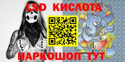 прущие грибы Дубна