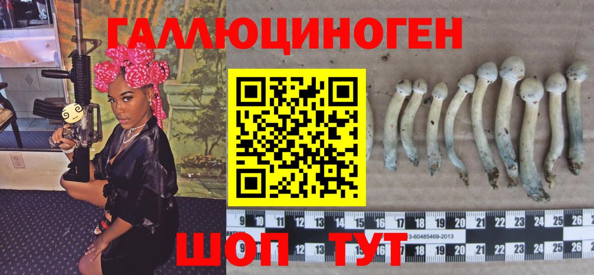 Галлюциногенные грибы мухоморы  магазин  наркотиков  Псилоцибиновые грибы Cubensis  Грязи  Вход с VPN 